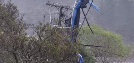 trampoline crop